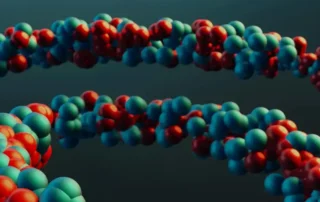 Proteínas animales vs. vegetales: ¿cuál es la mejor opción en la formulación de piensos?